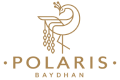 Excellaa Polaris
